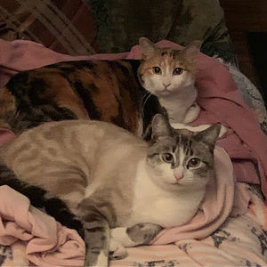 Meet your Posher, Annamarie